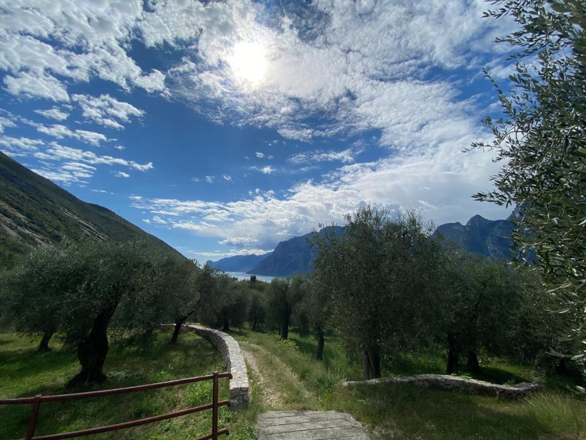 Garda Baldo Apartments_Vivaldi Torbole Sul Garda Extérieur photo